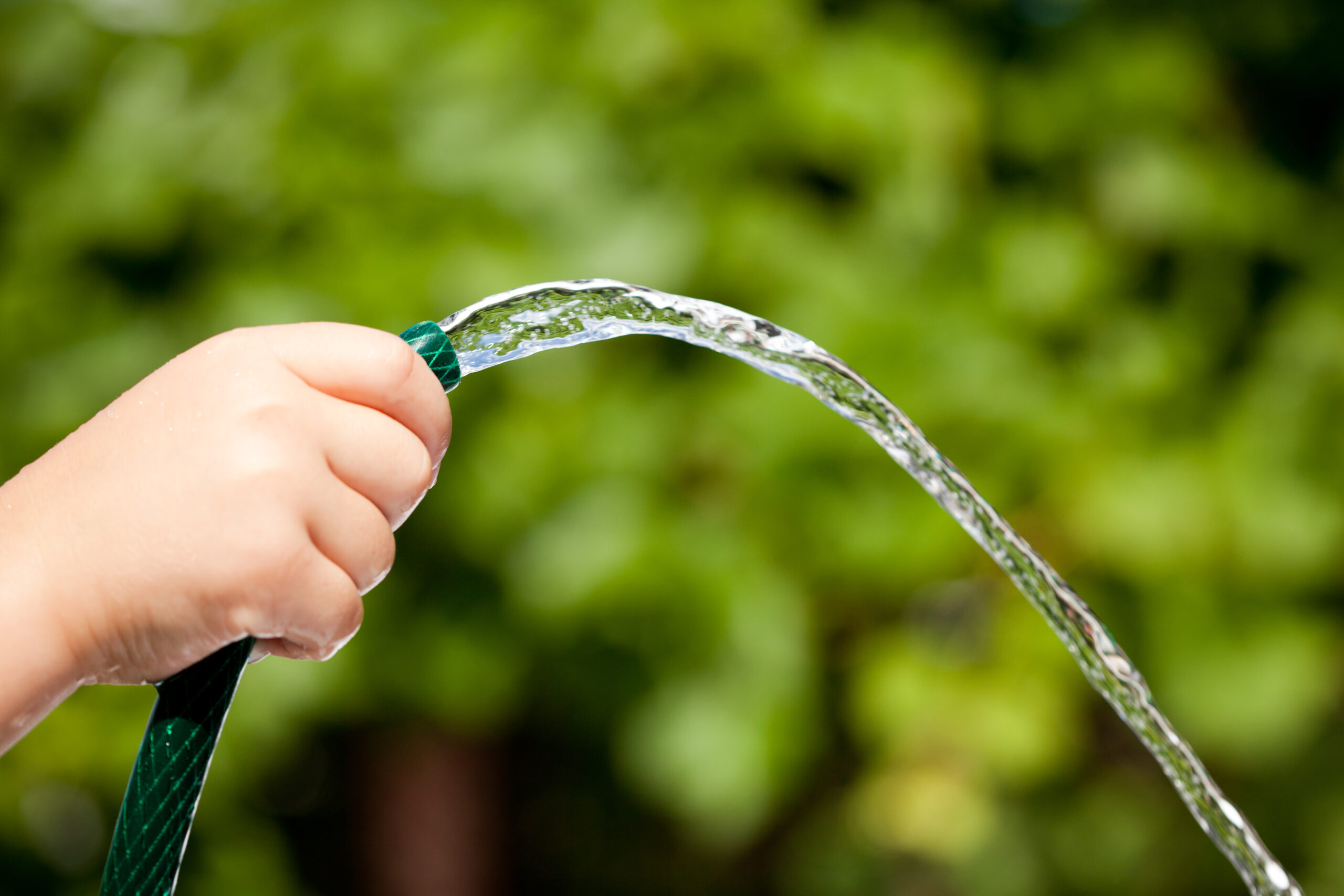 protecting Florida coastal waters - Child's hand squeezing water, creating splashes against a backdrop of blurry green leaves